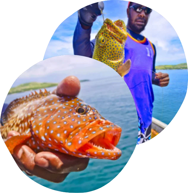 Seafood Coral Trout